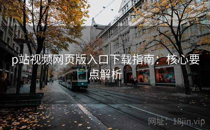 p站视频网页版入口下载指南：核心要点解析