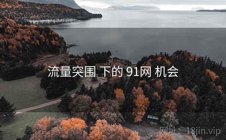 流量突围 下的 91网 机会
