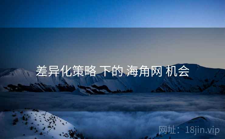 差异化策略 下的 海角网 机会