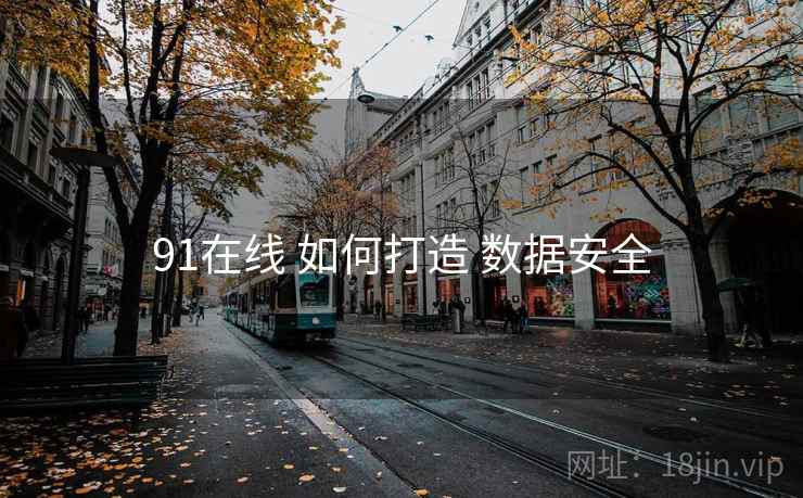 91在线 如何打造 数据安全