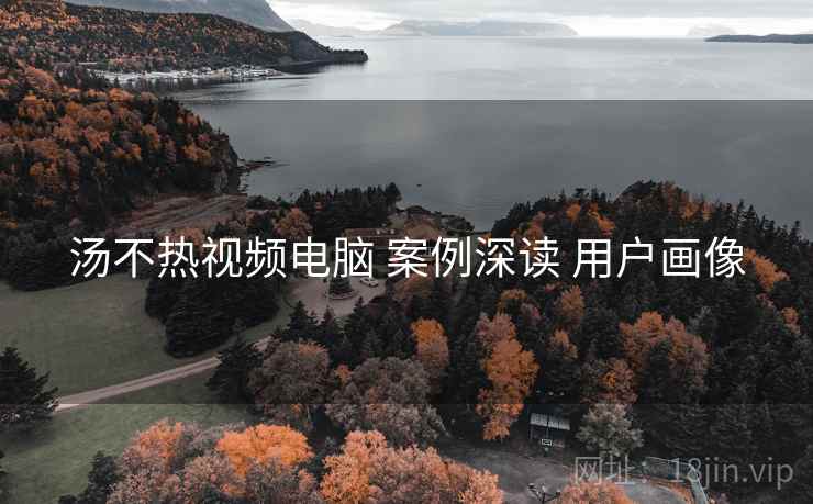 汤不热视频电脑 案例深读 用户画像