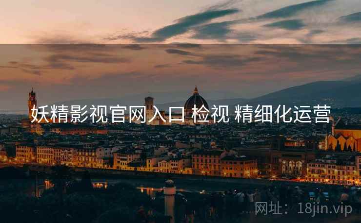 妖精影视官网入口 检视 精细化运营