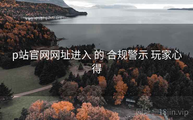 p站官网网址进入 的 合规警示 玩家心得