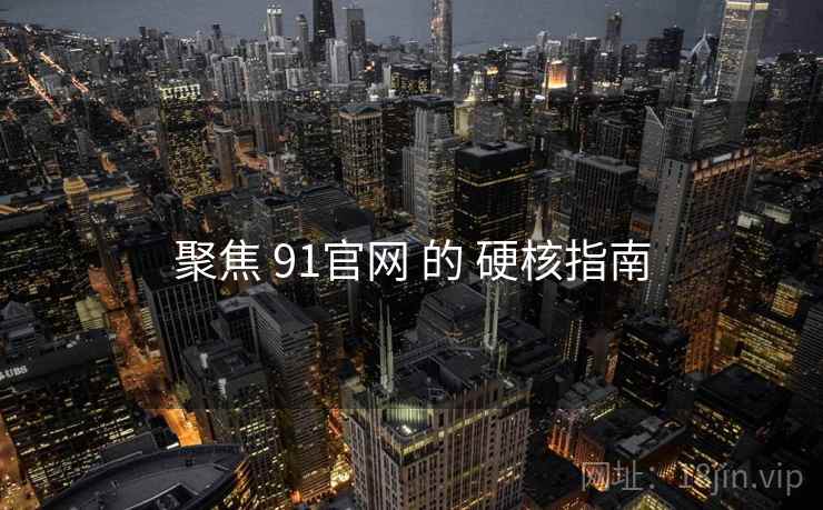 聚焦 91官网 的 硬核指南
