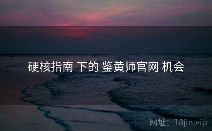 硬核指南 下的 鉴黄师官网 机会