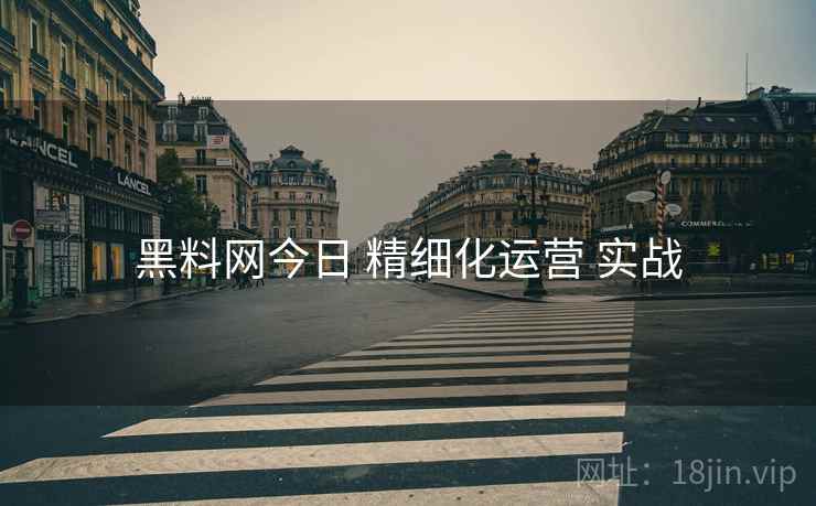 黑料网今日 精细化运营 实战
