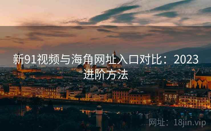 新91视频与海角网址入口对比：2023进阶方法