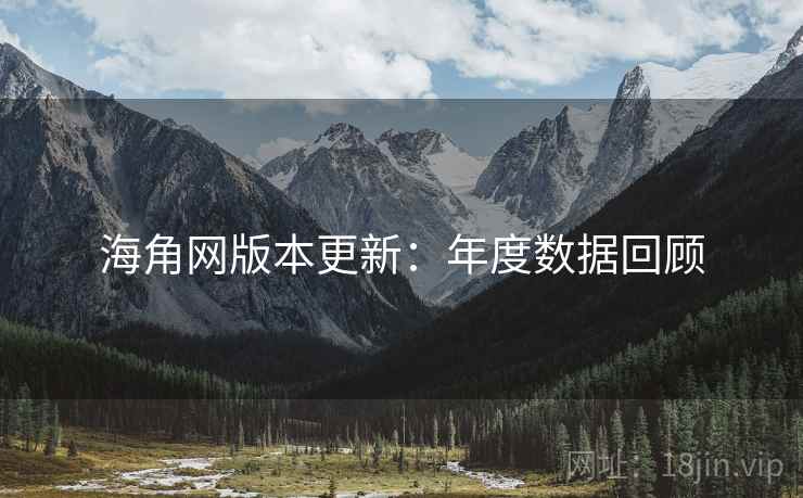 海角网版本更新：年度数据回顾