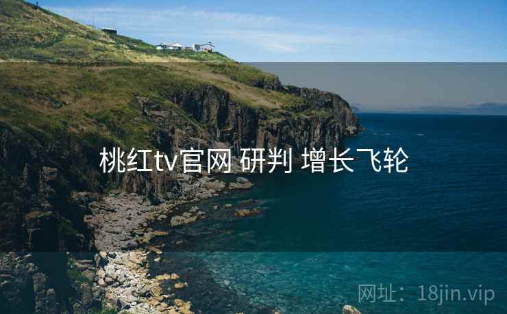 桃红tv官网 研判 增长飞轮