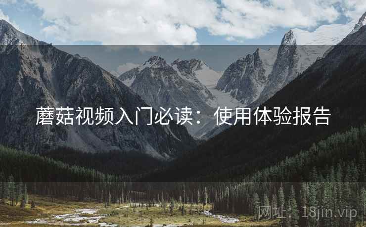 蘑菇视频入门必读：使用体验报告