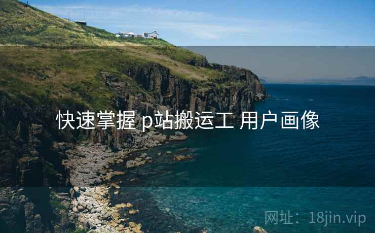 快速掌握 p站搬运工 用户画像