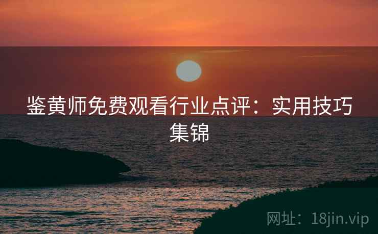 鉴黄师免费观看行业点评：实用技巧集锦