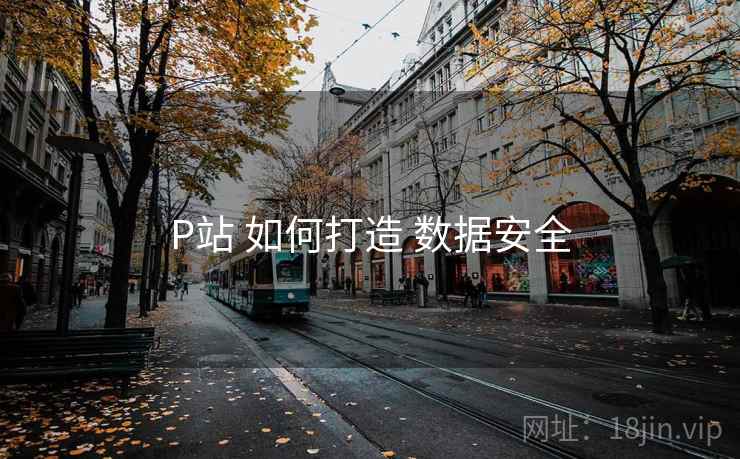 P站 如何打造 数据安全